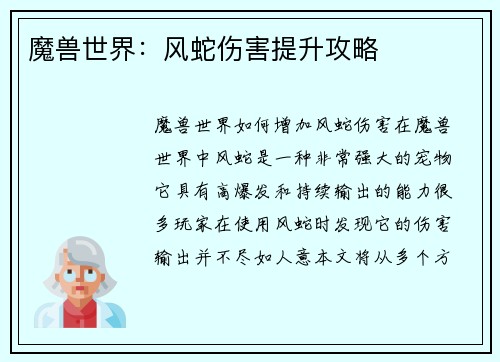 魔兽世界：风蛇伤害提升攻略